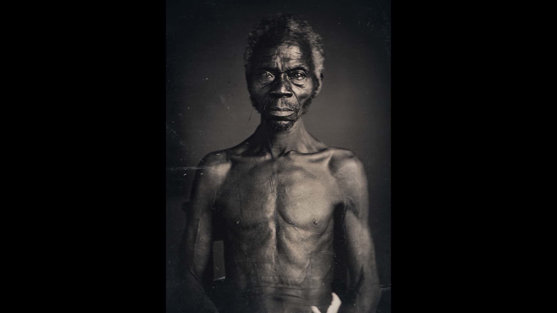 Still from Free Renty: Lanier v. Harvard