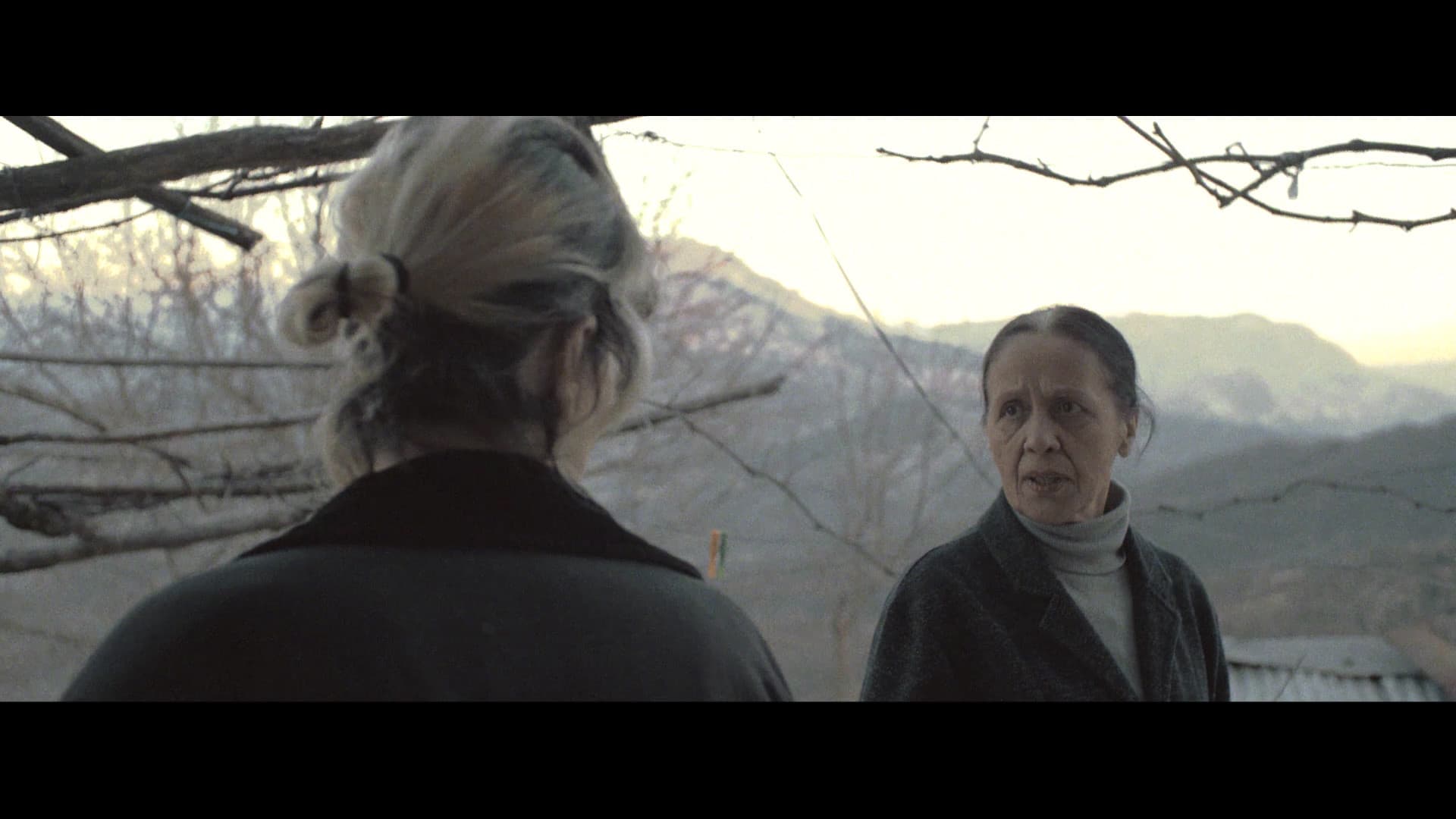 Still from The News
