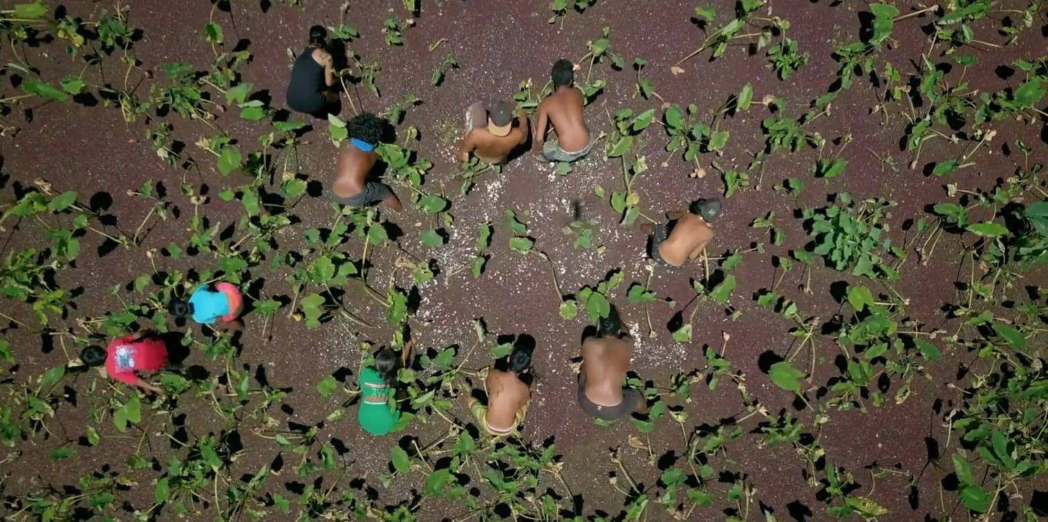 Still from I Am Kanaka